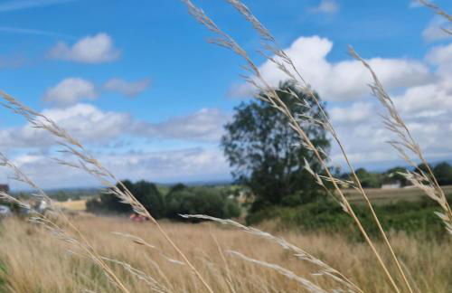 Cottage On The Common - Foto 9