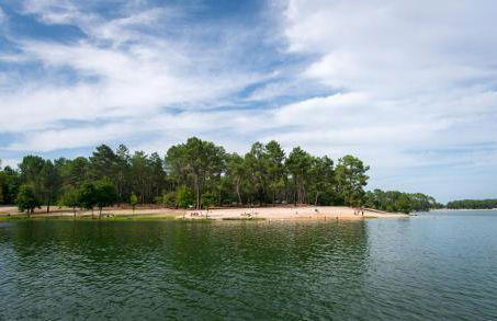 Studio Hypercentre Casteljaloux - Moderne - Calme - Wifi - TV - - Foto 29