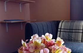 Faial Cottage - Foto 13