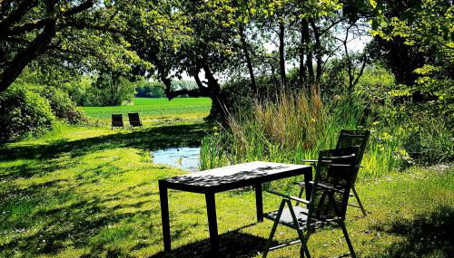 Hof Garz - Foto 4, Garden