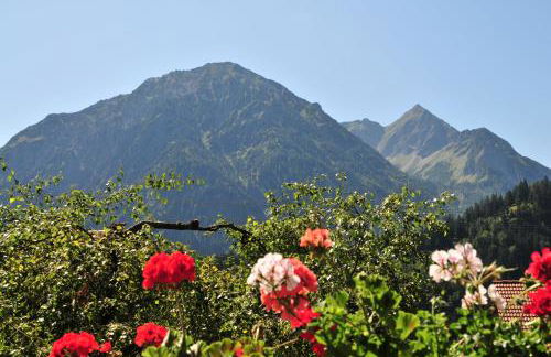 Haus Sonnenruh - Foto 37