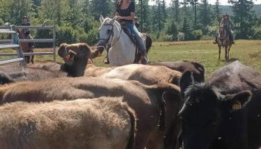 Ranch du Haut-Languedoc - Foto 3