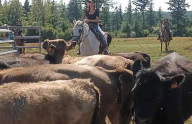 Ranch du Haut-Languedoc - Foto 3