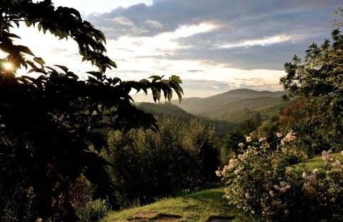 Villa Casavecchia - Foto 28