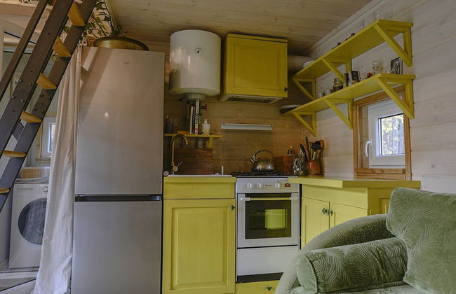 Metai Miške&a Year in the Forest - Photo 10