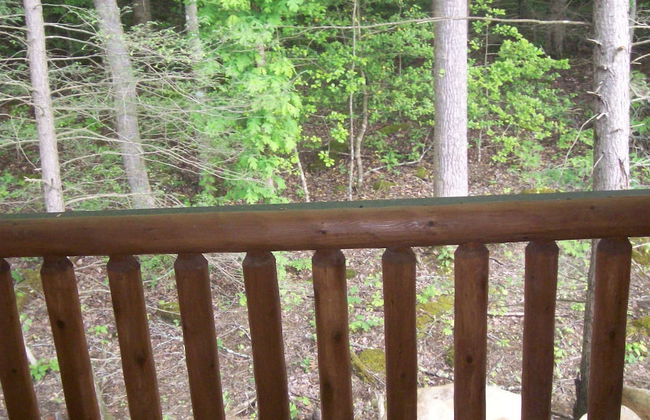 White Oak Lodge & Resort - Foto 3