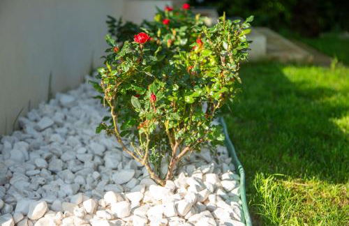 ALFA COUNTRY HOUSE Villa Salento - Foto 76