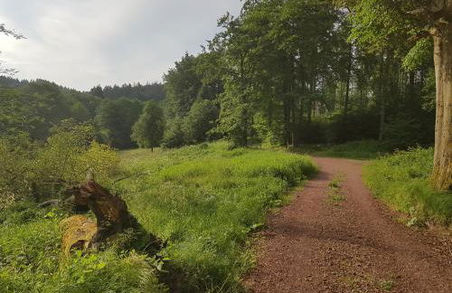 ferienwohnungen.ruhla - Foto 17