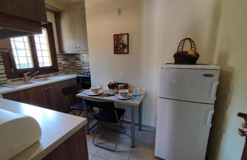 Estia Kleio - Foto 12