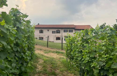 Cascina Mabette - Foto 4