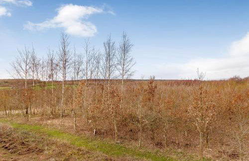 Olive Lodge - Foto 31