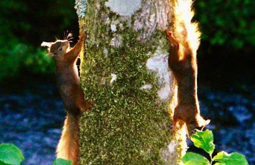 The Carriage - A first class experience - Foto 14