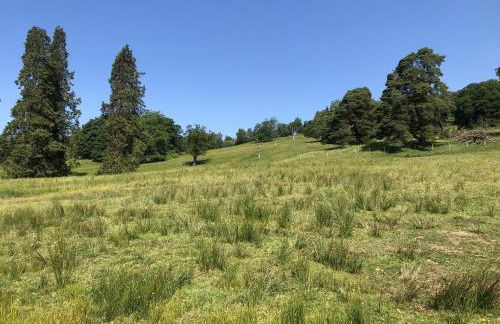 Leny Estate - Photo 18