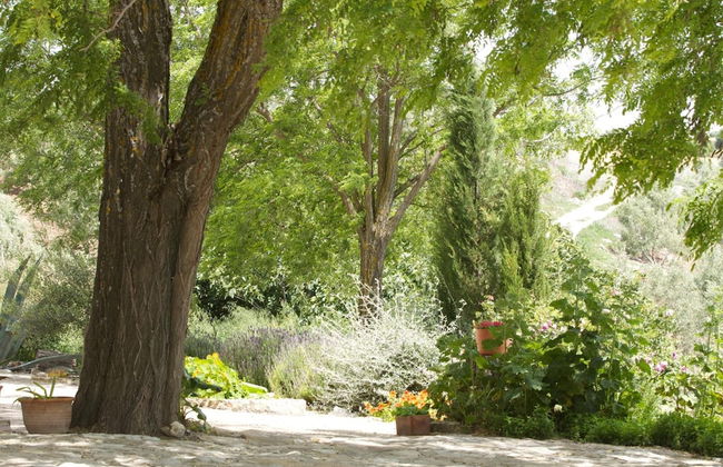 La Escuela del Campo - Photo 28