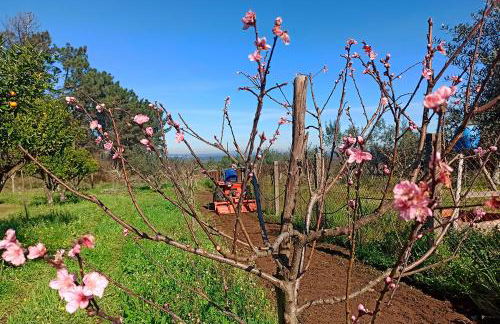 Refúgio de Alburitel - Foto 39