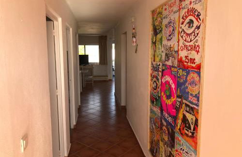 ED REXII ático - Foto 16