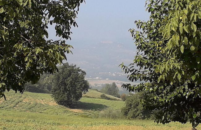 Agriturismo Il Truffarello - Foto 30