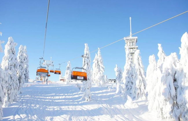 Snug Apartment in Jachymov near Ski Area - Photo 21