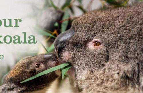 Large historic family home nr Longleat and Bath - Foto 20