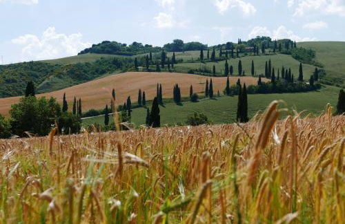 Le Ginestre Arte Vacanze - Foto 18