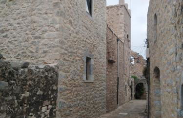 Pandera areopoli - Foto 52