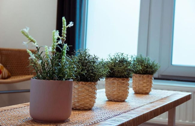 Smartflats City - Central - Photo 24