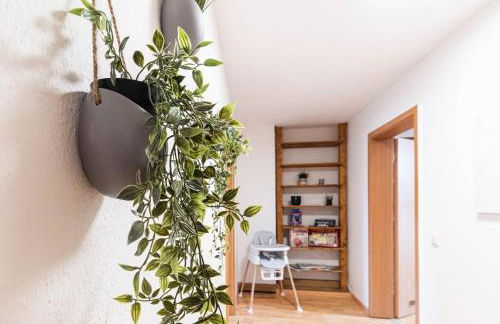 Großzügiges Apartment - Zentral - Küche - Familienfreundlich - Foto 28