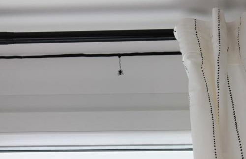 HippoLits - Photo 69