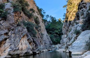 Au petit bonheur - Foto 34