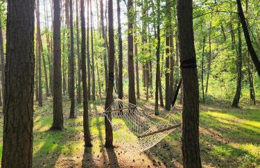 Tree Houses Olszanka - Photo 60