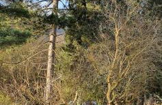 1Step2AllNature Tinyhouse - Foto 29