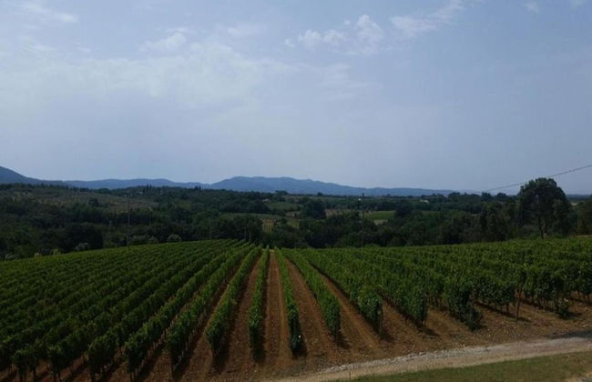 Cozy Apartment Near Bolgheri - Foto 22