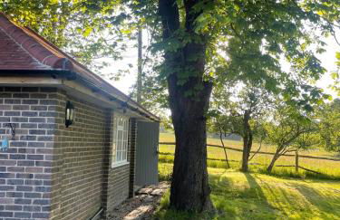 Motts Lodge - Photo 26