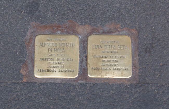 Feronia Guest House - Foto 52