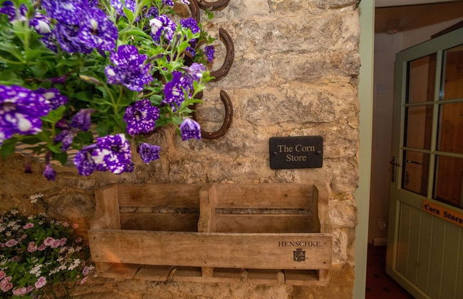 High Paradise Farm - Foto 75