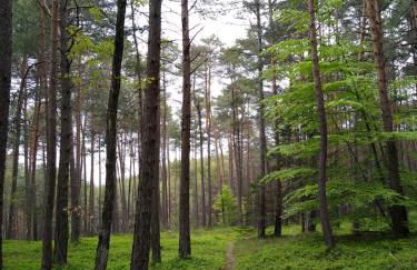 Ca' dei Ferrari - Foto 15