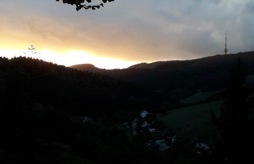 Haus Wald-Eck - Foto 30