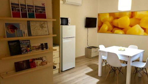 APT5 DÚPLEX Acollidor al Centre de Vic APTGARBI - Foto 2