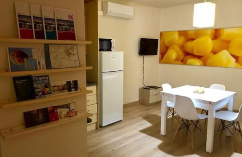 APT5 DÚPLEX Acollidor al Centre de Vic APTGARBI - Foto 2