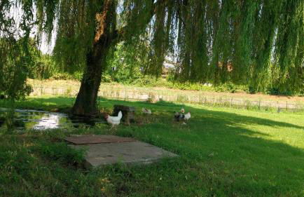 Agriturismo Cascina Poscallone - Photo 38