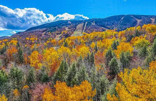 SlopeSide Escape - Foto 40