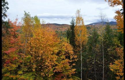 Welch View 68, T - Foto 17