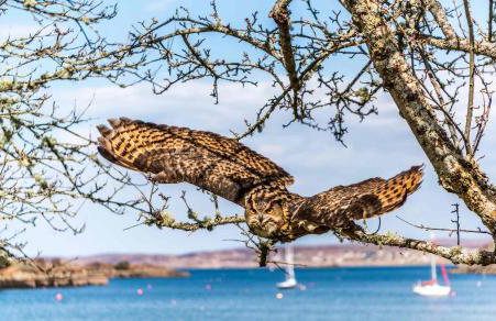 Shieldaig Lodge Hotel - Foto 26