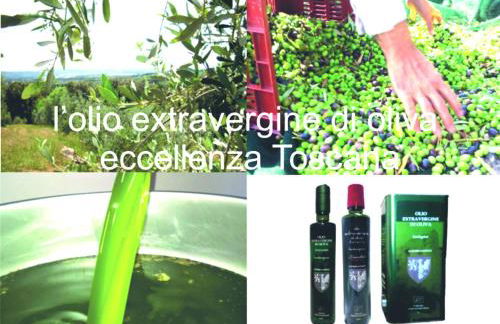 Etrusca shabby chic apartment - Tuscany - Venturina Terme - Foto 38