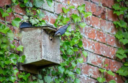 Cliff House Holiday Cottages - Foto 12