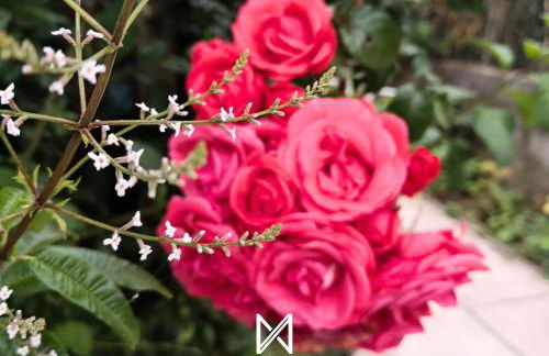 MyStay - Casa Sete Lano - Foto 20