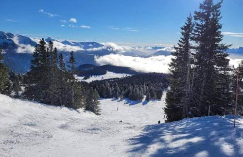 La Parenthèse Chamroussienne - Proche pistes de ski - Foto 22