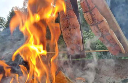 Altes Forsthaus Bodenmais - Foto 18