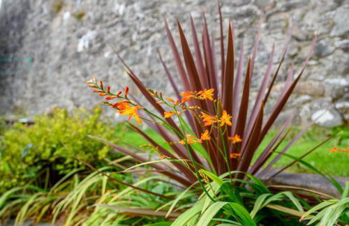 Fort Charlotte - Foto 37