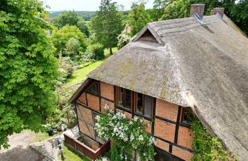 Pfarrhaus Tollensesee - Foto 1